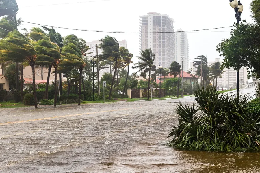 Stay and 'you are going to die': Florida braces for next hurricane