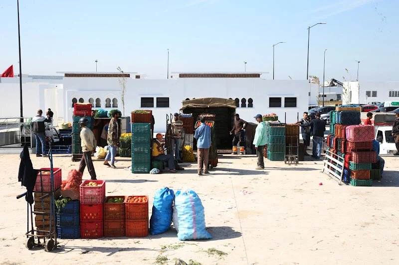 Casablanca's wholesale market thrives despite drought