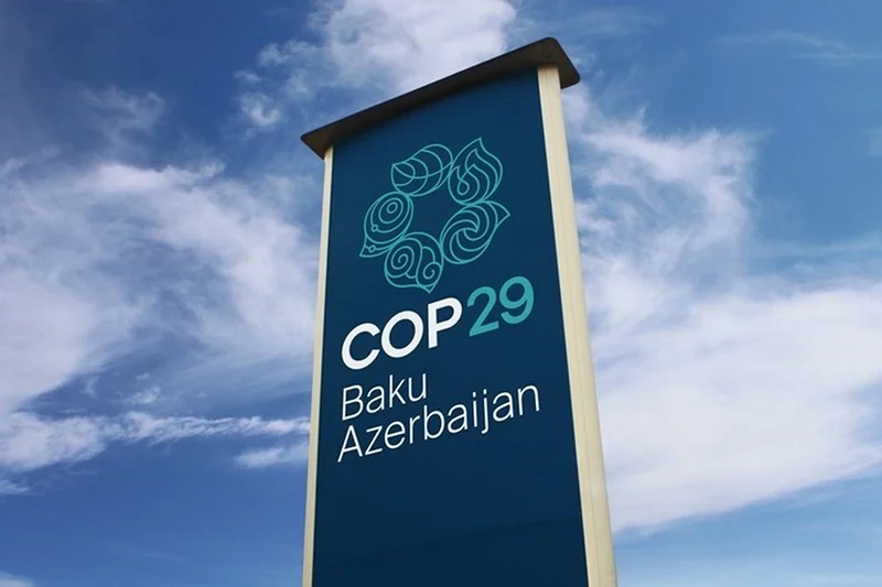 African Group negotiator criticizes weak financial commitments at COP29