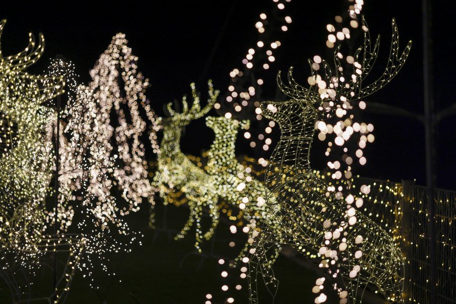 Moroccan Christians plan to hold more public Christmas celebrations