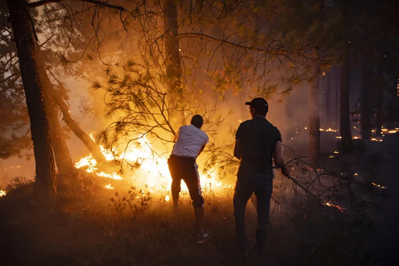 Forest fire ravages Tetouan in height of winter