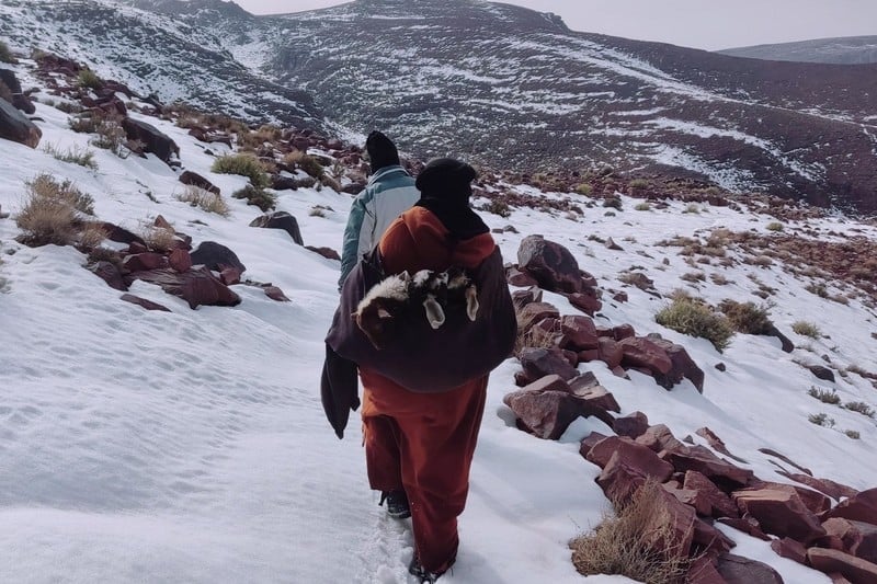 Nomads in Morocco’s southeast call for urgent aid as winter hardens