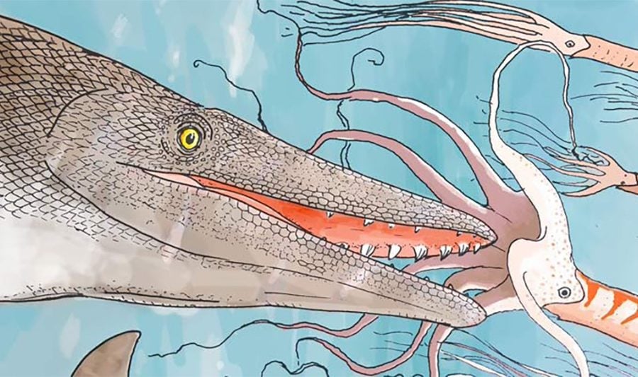 Ancient marine reptile species discovered in Moroccan phosphate mines