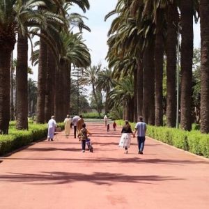 Morocco’s care economy could create more than 51,000 jobs, most for women
