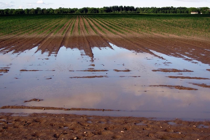 Spring rains alleviate years-long Moroccan drought crisis