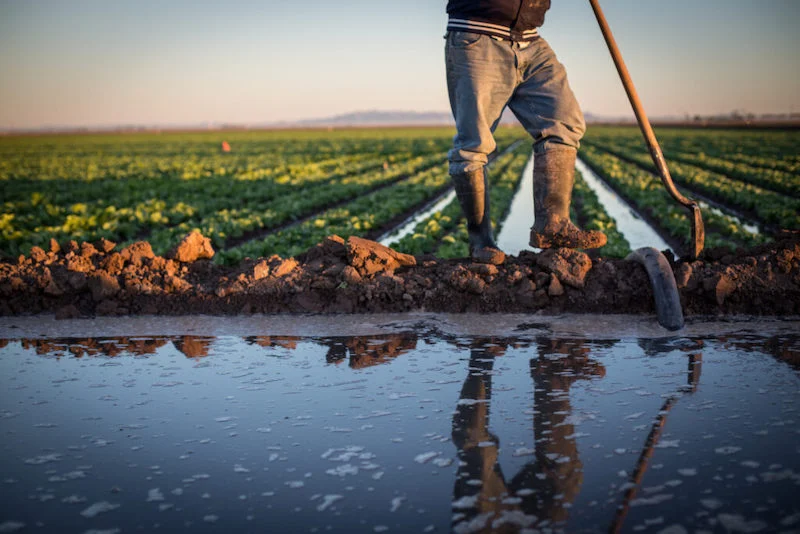 Morocco faces tough food security challenges despite agricultural progress, report says