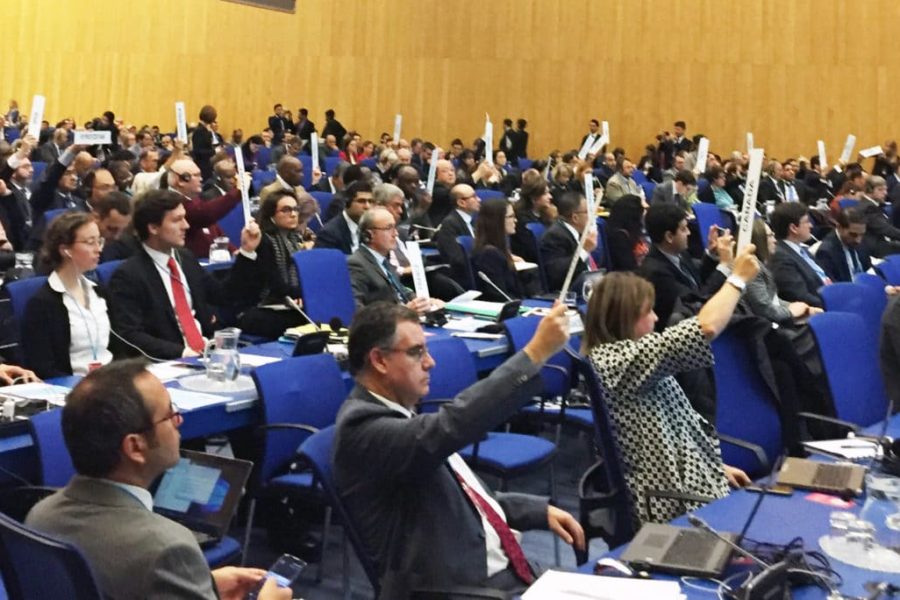 Morocco, France & Brazil Adopt Groundbreaking Resolution on Drugs Impact on Environment