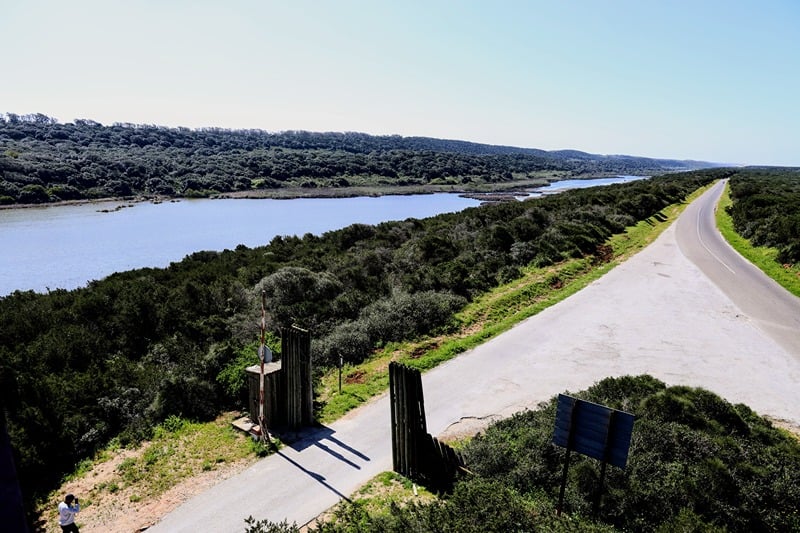 Sidi Boughaba Biological Reserve: A sanctuary for biodiversity revived by recent rainfall
