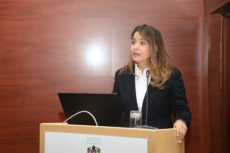 Morocco Can Become Regional Hub for High-Quality Carbon Credits – Minister