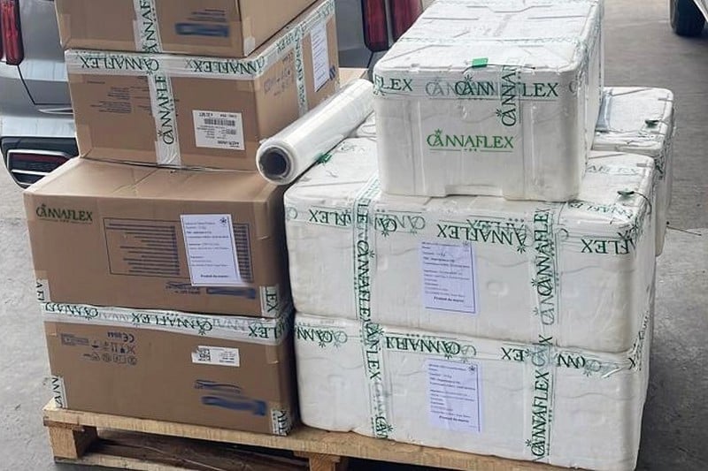 Morocco exports first-ever shipment of medical Cannabis to Switzerland