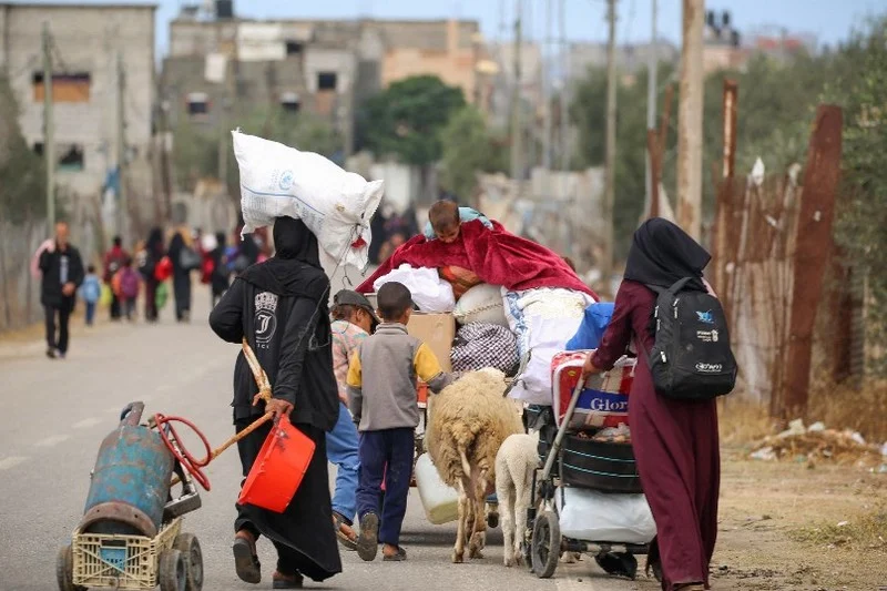 Total of 369 Moroccans evacuated from Gaza since onset of war