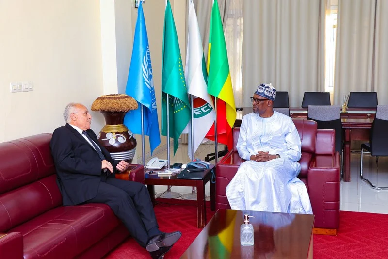 Algeria recalls ambassadors from Mali and Niger amid escalating diplomatic row