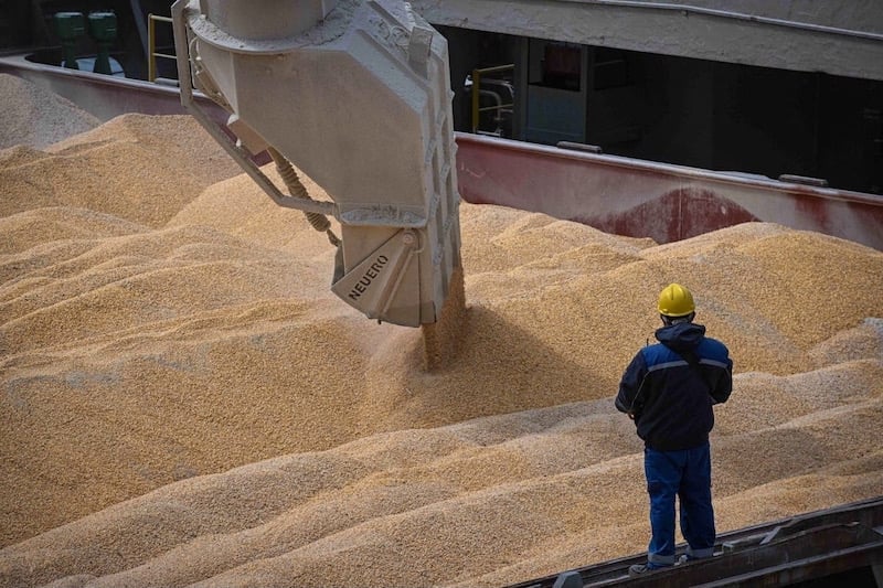 US forecasts drop in Morocco’s wheat imports as domestic harvest improves