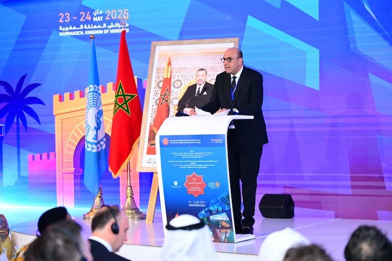 President of House of Councillors: Development is key to regional peace and stability