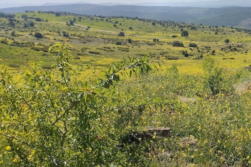From drought to hope: A Moroccan village's green revival through collective action