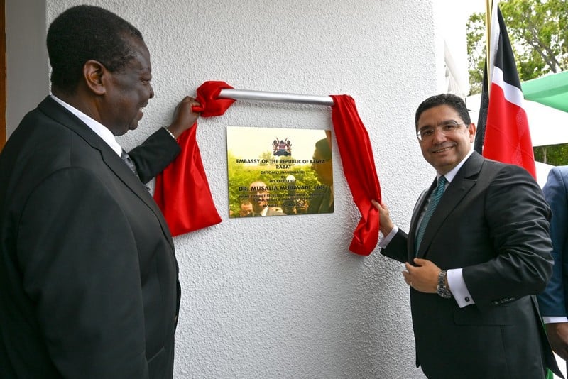 Moroccan diplomacy moves forward with gathering African consensus on the Sahara