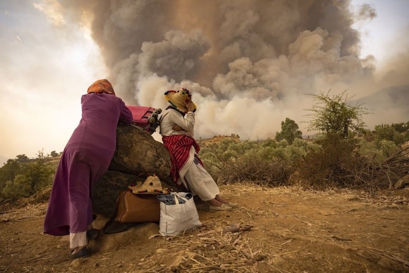 Moroccan students develop AI system to predict wildfires, optimize crop management