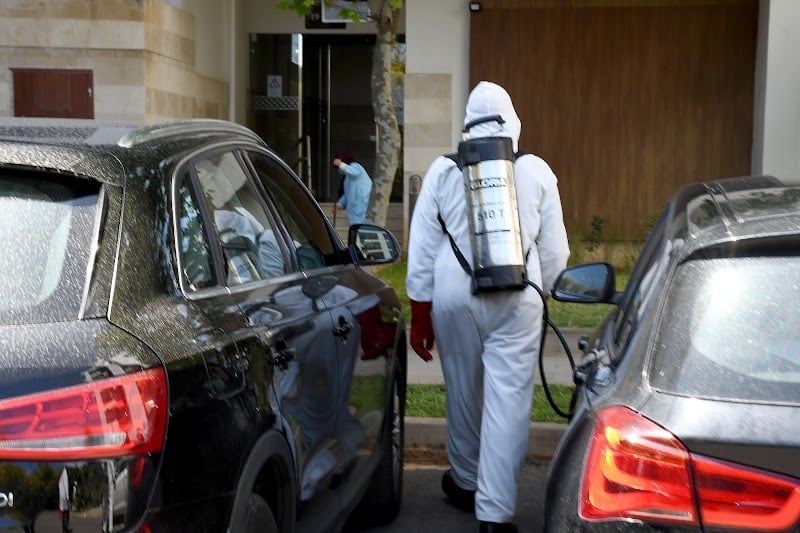 Moroccan cities battle summer surge in cockroach infestations, civil society urges action