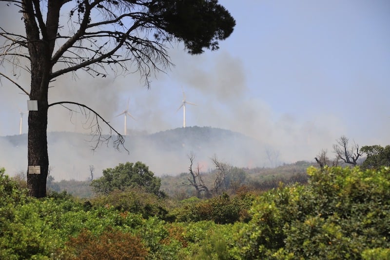 Wildfire near Tetouan destroys 15 hectares of forest, authorities detain arson suspect