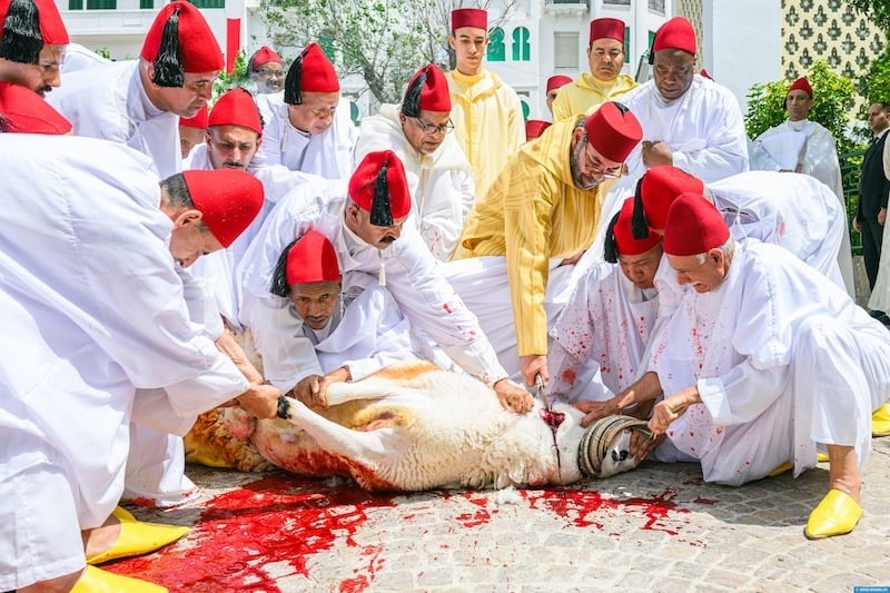 King Mohammed VI leads Eid al-Adha prayer in Tetouan, offers sacrifice on behalf of Moroccan people