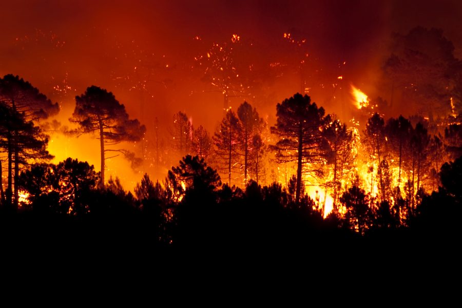 Extreme fire danger declared in northern Morocco as summer heat intensifies
