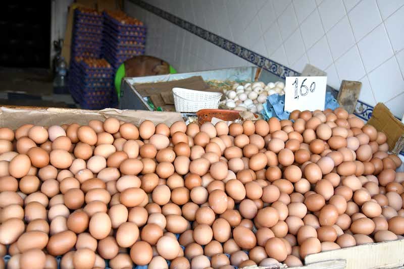Morocco sees rising egg prices amid market tensions and supply questions