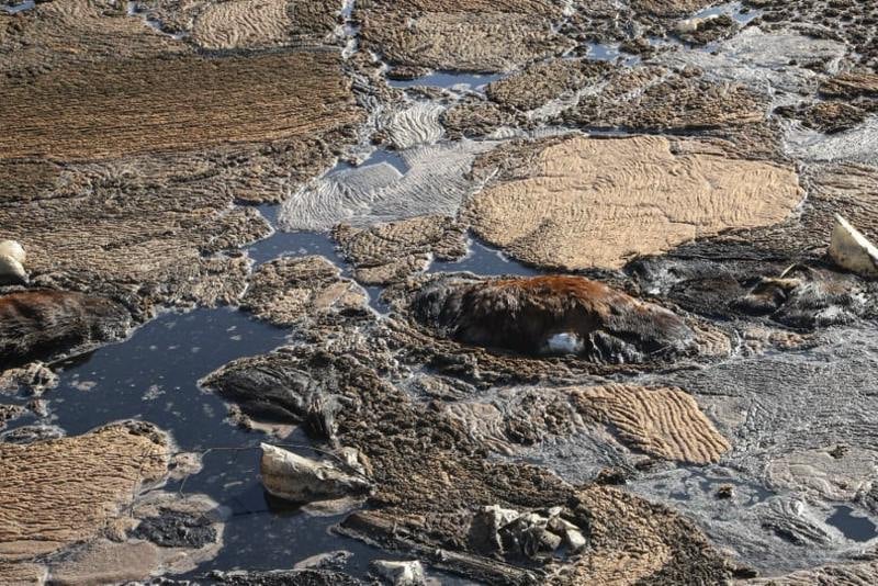 Raw sewage discharge at Tangier beach sparks outrage, officials blame plumbing error