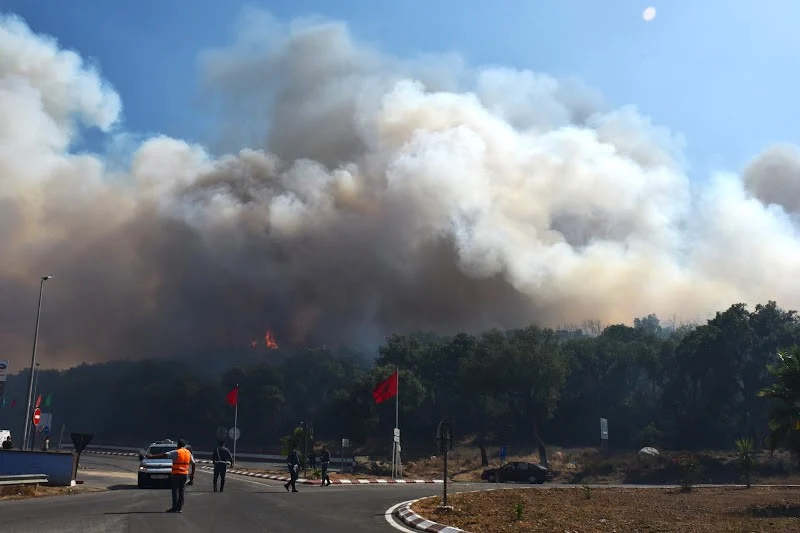 Morocco's ANEF issues wildfire risk bulletin for Aug. 17–20