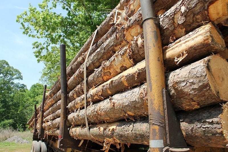 Morocco opens anti-dumping probe into wood panel imports from China, Indonesia