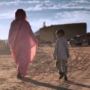 NGOs alert HRC to violations and restrictions on freedoms in Tindouf Camps, call for stronger protection mechanisms