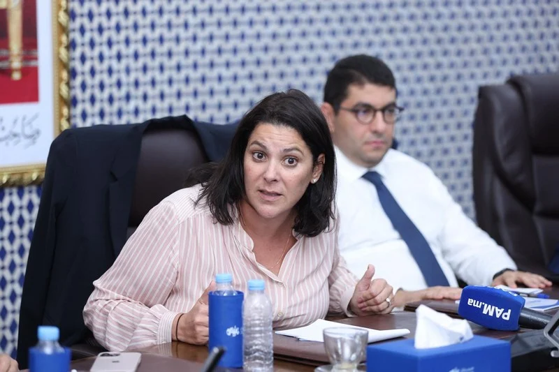 🔴  Morocco election 2026 live tracker: El Mansouri reacts to PJD opting out of talks, Democratic and social movement 'ready' to support new government