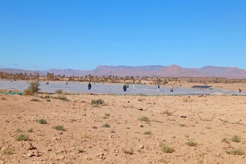 Four hectares of watermelon crops destroyed in Tata amid water crackdown