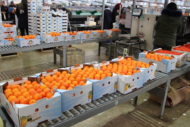 Morocco tops Spain's fruit and vegetable imports with €710 million in sales