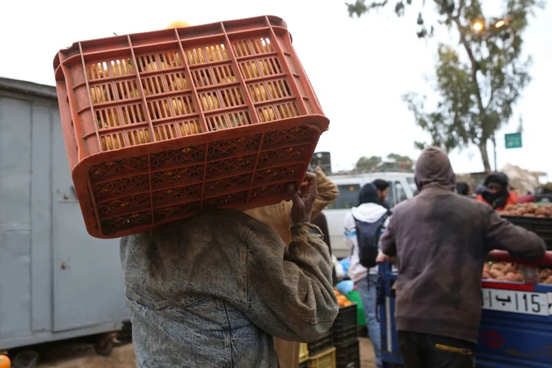‘A scapegoat for deeper problems’: Moroccan growers hit back at Spanish farm lobby