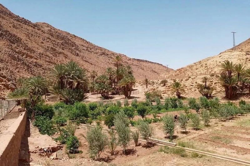 Moroccan residents accuse Algerian army of intimidation near border