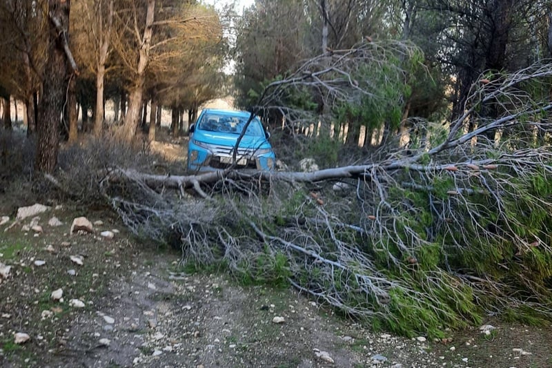 Authorities in Taza province mobilize to secure roads after heavy rainfall