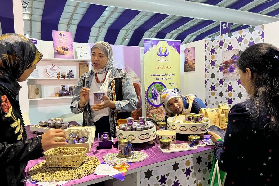 Rain brings relief to Morocco’s saffron growers, but climate and costs still weigh