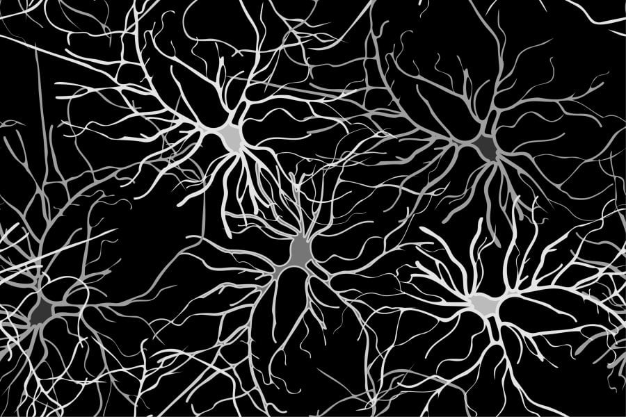For the first time, scientists identify brain cells behind depression