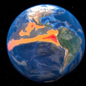 World ignoring UN request for El Nino disaster fund: FAO