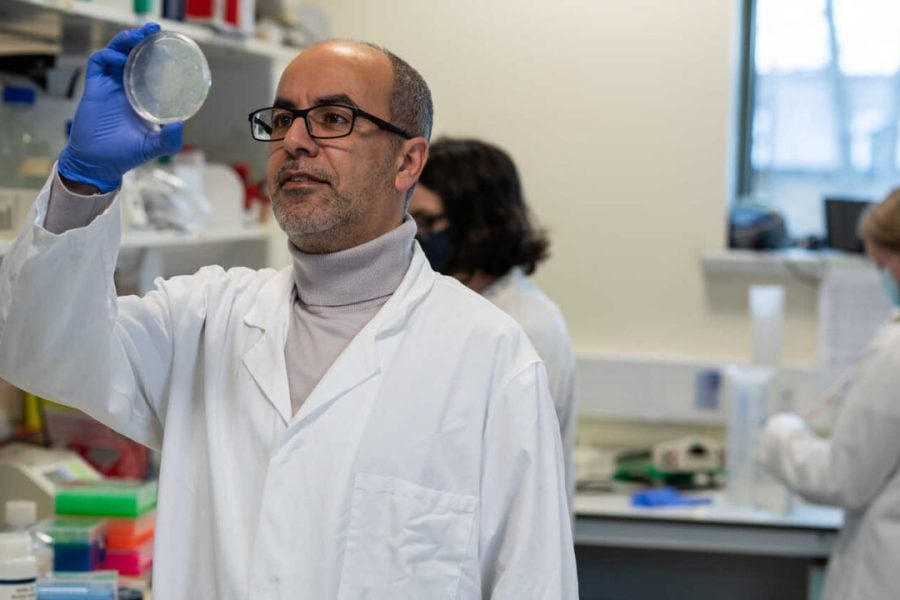 Moroccan researcher Mimoun Azzouz Wins Award from British Society for Gene & Cell Therapy