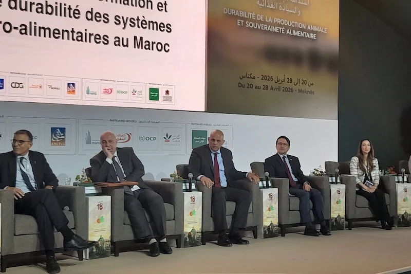 Climate, energy and inflation shocks threaten Morocco's food system security