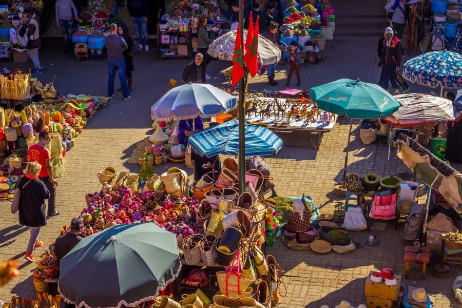 Petition urges Marrakech authorities to end tourist use of snakes, monkeys and horse-drawn carriages