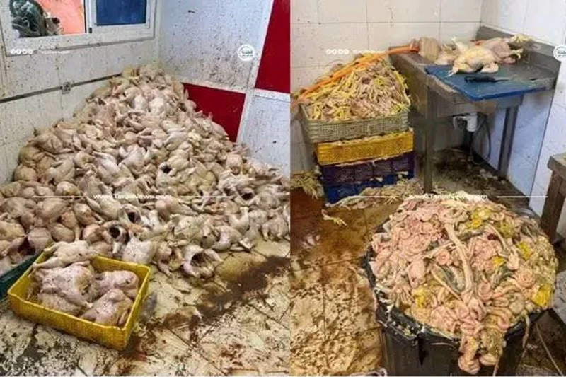 Authorities seize two tons of spoiled chicken in Tangier