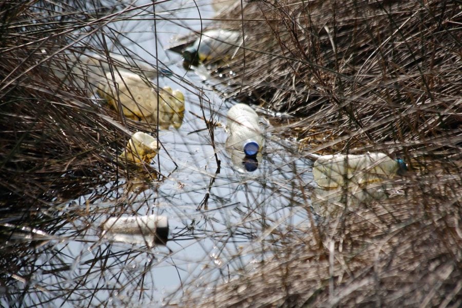Tiflet residents warn of health risks from illegal dumpsite in El Gueriaat forest