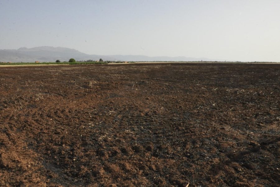 Rising heat fuels fires across Morocco, causing deaths and widespread damage