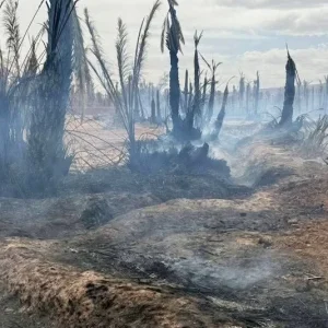 Morocco enters fire season with blazes hitting drought strained oasis areas