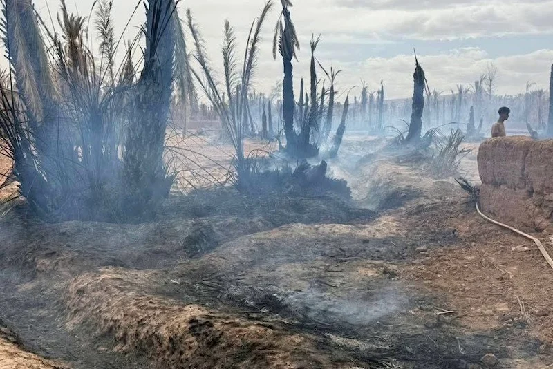Morocco enters fire season with blazes hitting drought strained oasis areas