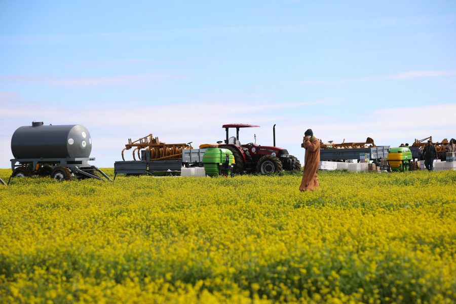 Morocco's agricultural workers protests across 20 locations over labor disputes