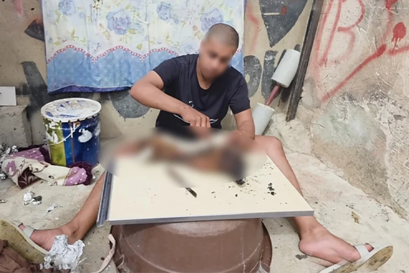 Court sentences YouTuber Benesnes to 8 months in prison for high-profile animal cruelty case