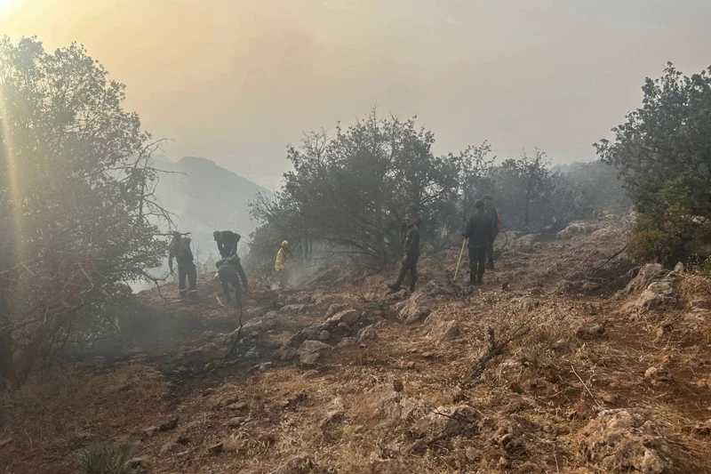 Firefighting efforts continue for fourth day as wildfire burns forest near Taroudant
